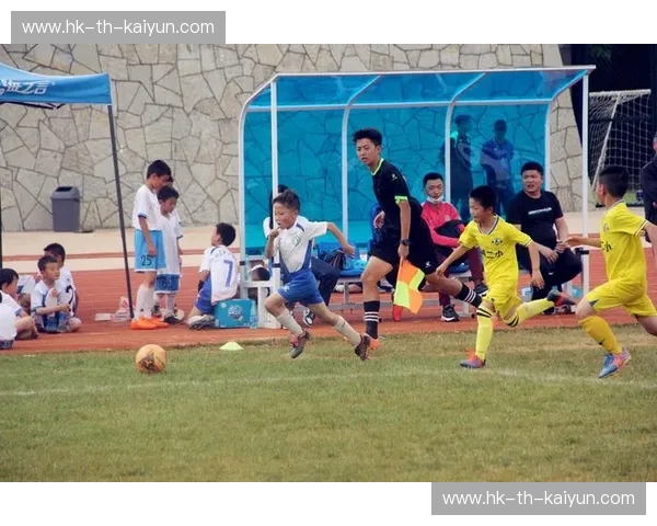 绿茵激战，史诗对决：欧洲杯爱尔兰vs德国，一场超越胜负的足球盛宴